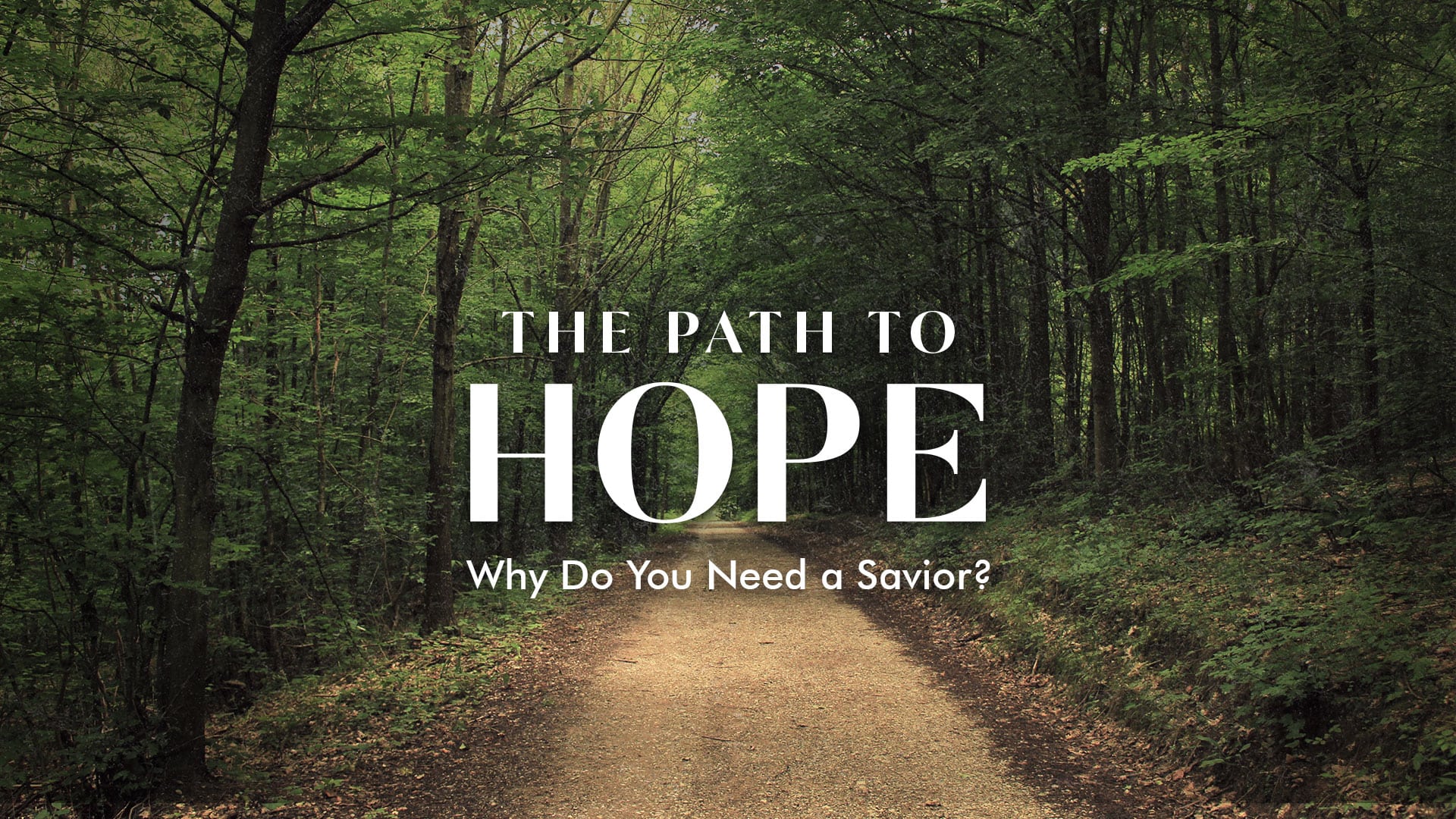 a forest path labeled the path to hope why do you need a savior?
